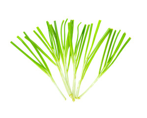 Chinese chives, Garlic chives, Kow Choi