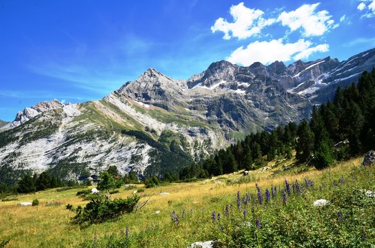 Cirque de Gavarnie, estives et prairie, &eacute;t&eacute; 2016