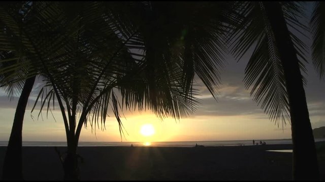 Palmtrees and sunset at Jaco beach Costa Rica