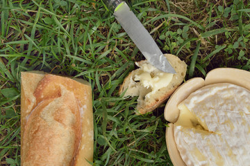 morceau de fromage, pique-nique sur l'herbe