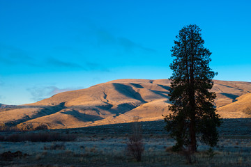 Morning Sun, Yakima River Canyon, Washington, 2011