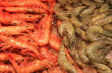 shrimps (prawn)