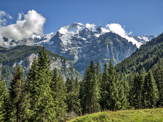 Fototapeta na wymiar Alpine Landscape near Lauterbrunnen in Switzerland