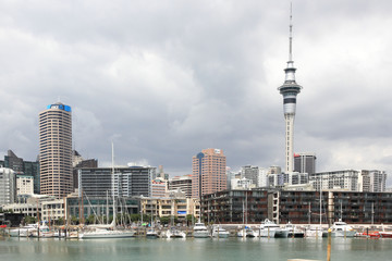 Auckland City Scape