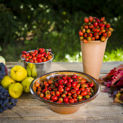 Clay bowl full of rose hips on wooden background. Autumn fruits in the background.