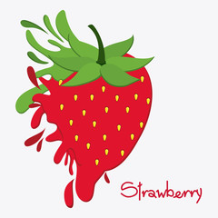 Strawberry fruit and splash icon. Organic and healthy food theme. Colorful design. Vector illustration