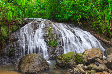 Naklejka premium waterfall landscape