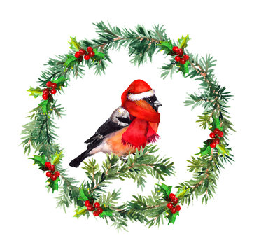 Christmas wreath - fir, mistletoe and bullfinch bird in santa hat. Watercolor 