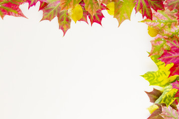 Naklejka na ściany i meble Colorful fall leaves border on white background.