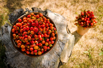 Clay bowl full of rose hips on wooden background.