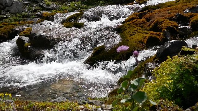 alpen, engstligenalp, adelboden, schweiz
