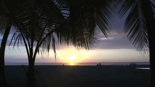 Palmtrees and sunset at Jaco beach Costa Rica