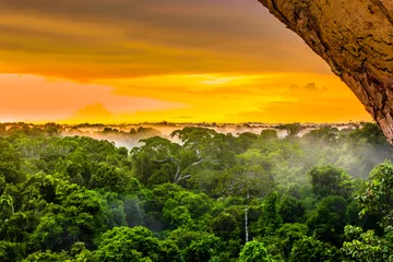 Fotobehang sunset in the brazilian rainforest of Amazonas © streetflash
