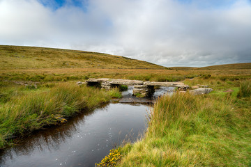 Teignhead Clapper Bridge
