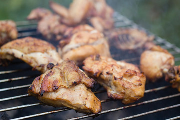 BBQ meat on grill in garden