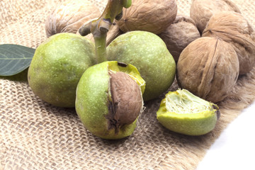chopped young green walnut near the pile of brown nuts