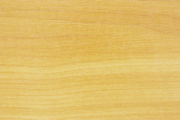 Naklejka premium wood texture with natural pattern