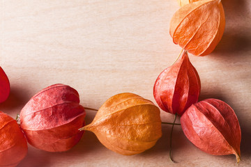 on a wooden board a number of bright beautiful autumn Physalis c