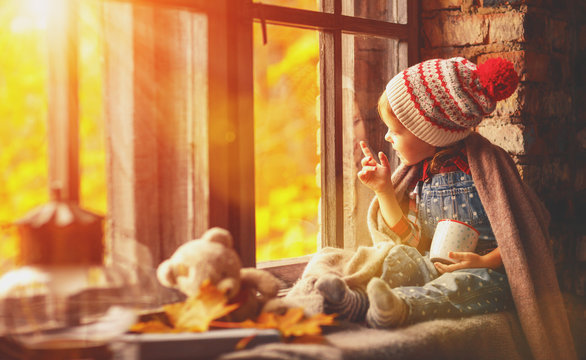 child girl with cup tea looking through window at nature autumn