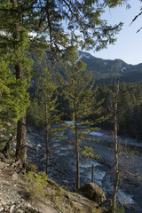Fototapeta na wymiar River flowing through forest, Nairn Falls Provincial Park, Whist