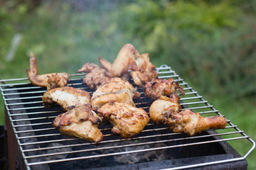 BBQ meat on grill in garden