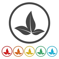 Three green leaf logo. Natural plant symbol.