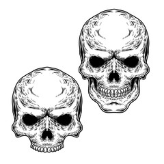 Set of two skulls