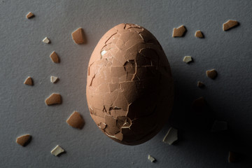 Cracked Brown Egg with Scattered Shell Pieces