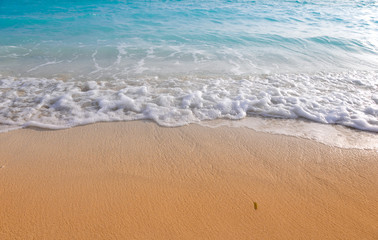 wave rolling on golden shore