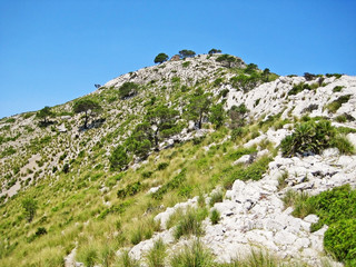 Fototapeta na wymiar Mountain crest with grass and blue sky