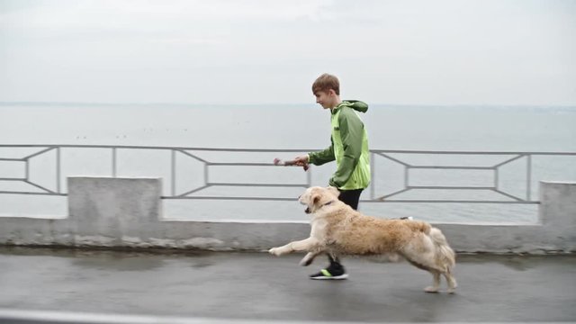 Slow motion shot of dog trying to catch toy from hands of teenage boy during run along pier at autumn day 