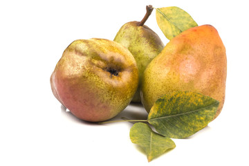 three ripe aroma of juicy pear with autumn leaves