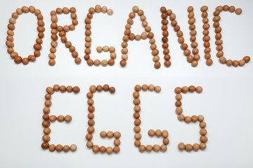 Organic eggshells were used to write organic eggs