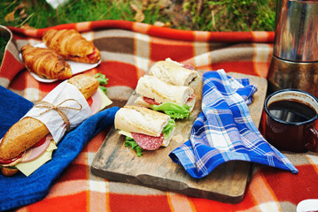 picnic at forest