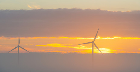 Fototapeta premium Wind turbine in a field at sunrise in summer
