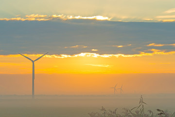 Fototapeta na wymiar Wind turbine in a field at sunrise in summer