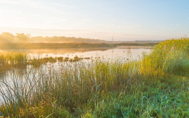 Fototapeta na wymiar Shore of a lake at sunrise in summer
