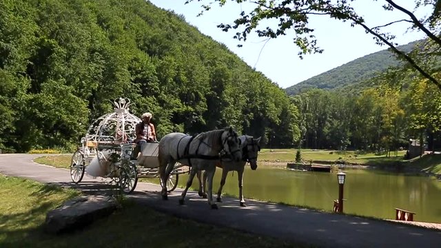 Wedding Carriage Heading for Princess Castle. HD Slow motion