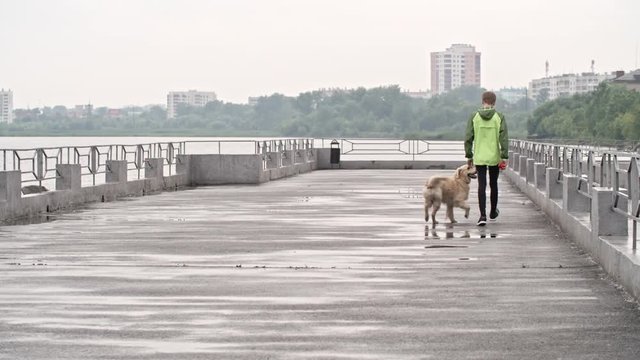Rear view of teenage boy walking along pier at cold autumn day with cute playful retriever