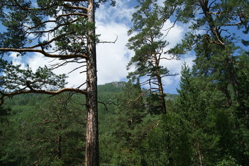 Fototapeta premium Travel through the beautiful corners of nature lake Baikal