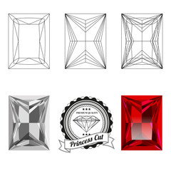 Set of princess cut jewel views isolated on white background - top view, bottom view, realistic ruby, realistic diamond and badge. Can be used as part of logo, icon, web decor or other design.