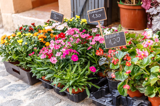 Street flower market, Spain