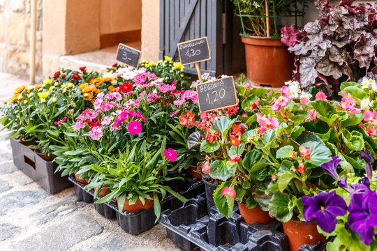 Street flower market, Spain