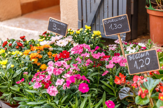 Street flower market, Spain