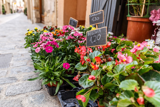 Street flower market, Spain