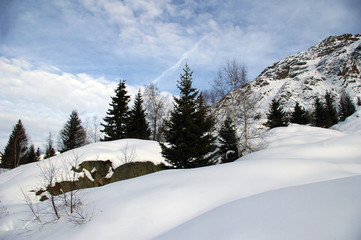Fototapeta na wymiar Paysage de neige fraîche.