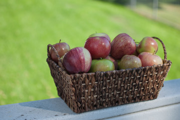 Fruit basket of apples
