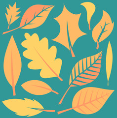 Fototapeta na wymiar Autumn leaves illustration