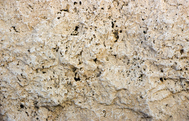 Samples of the texture of travertine, Indian stone