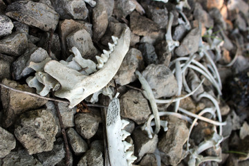 Industrial Death